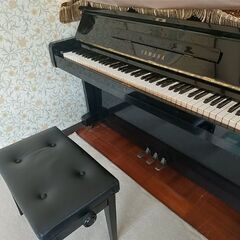 声楽、発声・ヴォイストレーニング 体験レッスンの画像