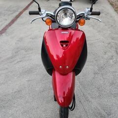 ホンダ　Today トゥデイAF67 好調　原付　バイクの画像