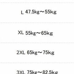 アイスシルク冷感マイナス５度通気Tシャツ4色セットサイズ2XLサラサラ感覚フィット空調服にお勧め(同梱不可です）の画像