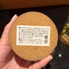 プリザーブドフラワー　ガラスドーム入の画像