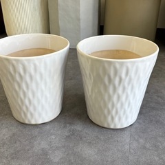 植木鉢 陶器 7号 ポット 白 ホワイトの画像
