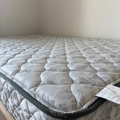 セミダブル】サータ ペディック36 アニバーサリーDX