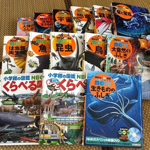 絵本まとめ売り　29冊　0歳〜未就学児 絵本まとめ売り 60冊 0歳～幼稚園 保育園児 福音館書店等 - メルカリ