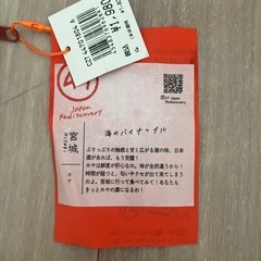 海のパイナップルポーチの画像