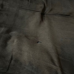 【取引き中】ニトリ バタフライチェア 収納袋付きの画像