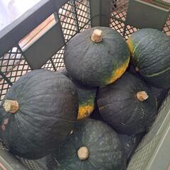 選べる野菜セット1200円～注文可の画像