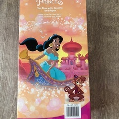 ディズニー ジャスミンドール②の画像