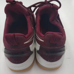 《尼崎市/リサイクルショップドリーム次屋店》★ジモティー割引有★ NIKE LEBRON 13 スニーカー 27.0cm 中古品 ☆尼崎市若王寺☆の画像
