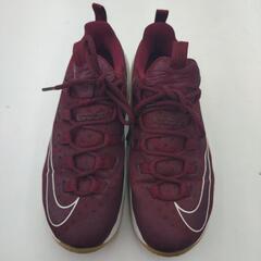 《尼崎市/リサイクルショップドリーム次屋店》★ジモティー割引有★ NIKE LEBRON 13 スニーカー 27.0cm 中古品 ☆尼崎市若王寺☆の画像