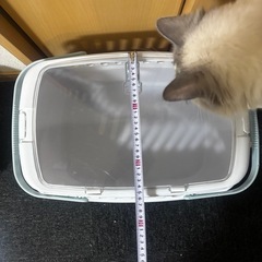 動物用キャリーの画像