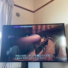 パナソニック テレビ  49型の画像