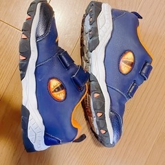 キッズスニーカー 恐竜 22.0cmの画像