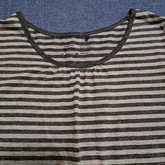 レディースTシャツの画像