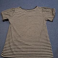 レディースTシャツの画像