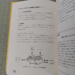 子供と育てる飼育動物～学校での動物飼育ガイド～の画像