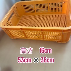 【美品】オレンジ🧡のコンテナ‼️万能すぎます‼️の画像