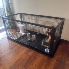 犬　ゲージの画像