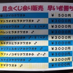 各種昆虫を特価販売します。の画像
