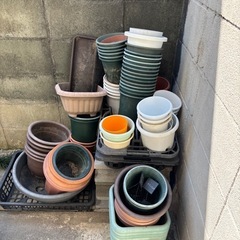 植木鉢の画像