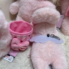 ★決まりました★の画像