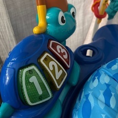 海の生き物ジャンパールーの画像