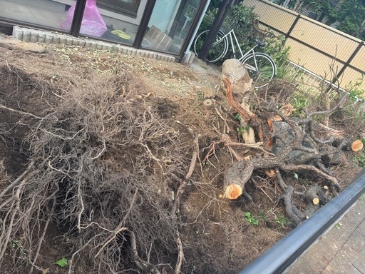 木の根っこ回収依頼