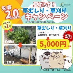 夏限定‼️通常¥10,000→¥5,000半額‼️（10平…