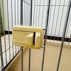商談中/ペット用/ゲージ/高さ60 幅95 奥行65の画像