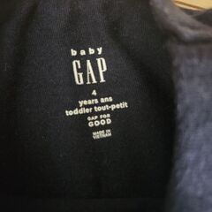 GAP☆恐竜T写真 4歳の画像