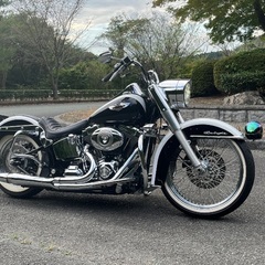ハーレーFLSTN 1580  ソフテイルデラックス　★美車★ バックギア付き　カスタム多の画像