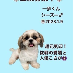 一歩くん☆里親募集中