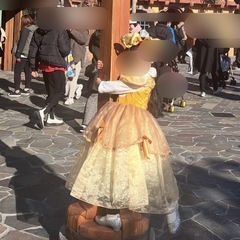 ディズニー ベル風ドレス　The beauty and the beastの画像
