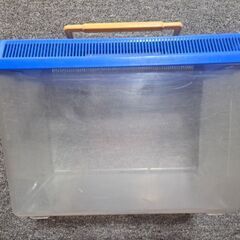 昆虫ケース　水槽の画像