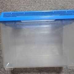 昆虫ケース　水槽の画像