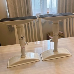 突っ張り棒 一輪挿し 額縁 の画像