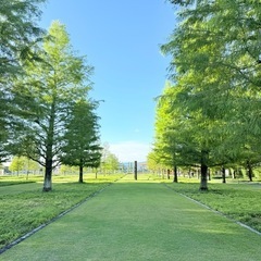 名古屋〜三重中部近辺で気軽に遊べるお友達🌿