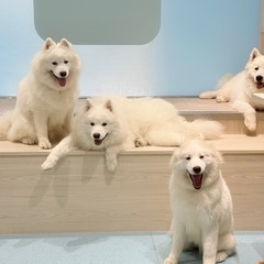 名古屋〜三重中部近辺で気軽に遊べるお友達🌿 - 名古屋市