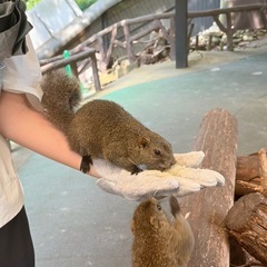 名古屋〜三重中部近辺で気軽に遊べるお友達🌿 − 愛知県