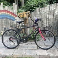 OLD MTBブリヂストン ワイルドウエスト WWA500 ホリゾンタル 美車 OLD MTBブリヂストン ワイルドウエスト WWA500 ホリゾンタル 美車