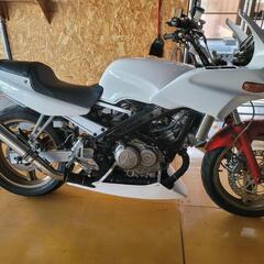 VT250スパーダ（レストア）カスタム詳細内容更新TikTok動画、画像有の画像