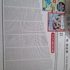 (お話し中)北海道芸術花火2025 プレミアム席２名分 モエレ沼公園の画像
