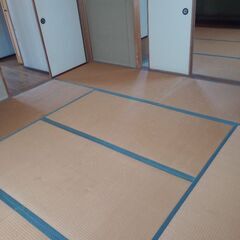 畳（古畳）　無料　差し上げますの画像