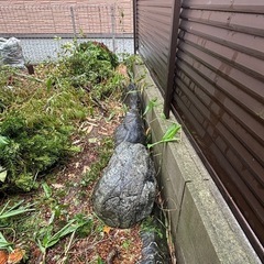 庭石の画像