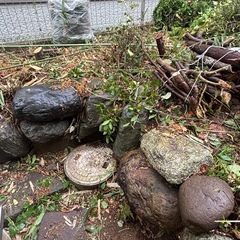 庭石の画像