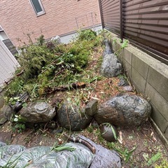 庭石の画像
