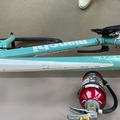 ビアンキ　bianchi カメレオンテ　サイズ55の画像