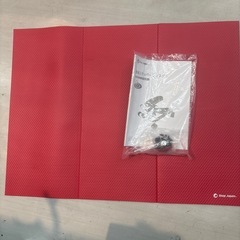 【ナイスデイ】ステッパー【ショップジャパン 】クリーニング済み【管理番号10208】野の画像