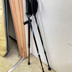 杖の画像