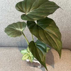 フェイクグリーン(高さ30cm)の画像