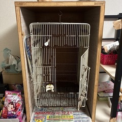 小動物ケージの画像